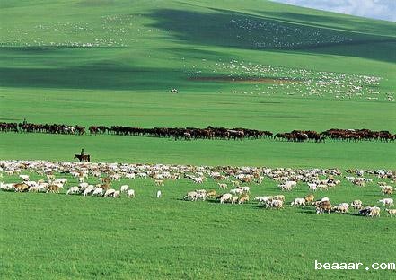 草原气象环境监测系统