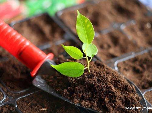 土壤植株肥料养分速测仪帮助农业生产