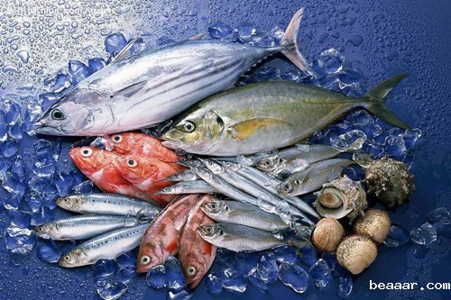 水产品药物残留检测仪教您如何正确选择水产品 水产品药物残留检测仪教您如何正确选择水产品