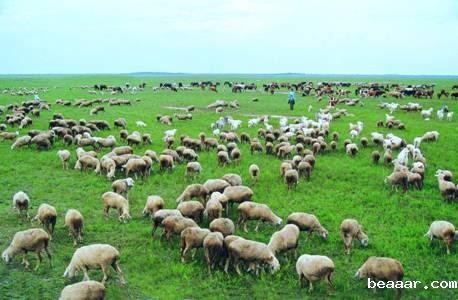 草原生态气象站厂家 草原生态气象站厂家