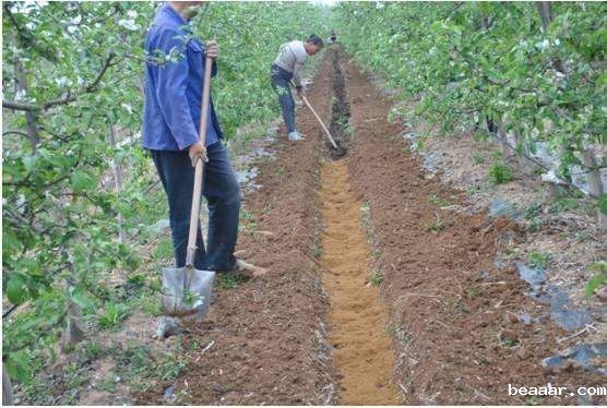 土壤施肥检测仪提高肥料的利用率 土壤施肥检测仪提高肥料的利用率