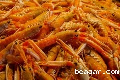 吉林检出9批次重金属超标海鲜，重金属污染防不胜防