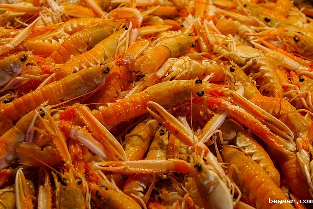 吉林检出9批次重金属超标海鲜,重金属污染防不胜防 吉林检出9批次重金属超标海鲜,重金属污染防不胜防