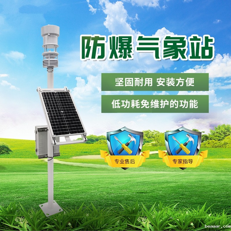 2021防爆监测系统