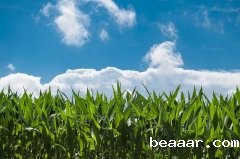 精准农业是什么？一篇文章带您了解