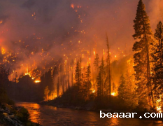 JD-SLQX森林气象站防范森林火灾