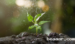 农业气象站如何进行数据处理