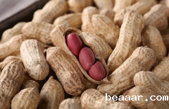 黄曲霉素检测仪防控家禽中毒