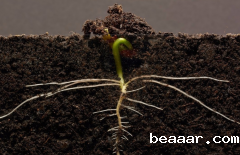 为什么要进行土壤有机质检测？