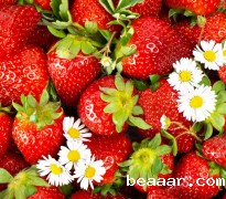 微流控农残检测仪检测农残新技术